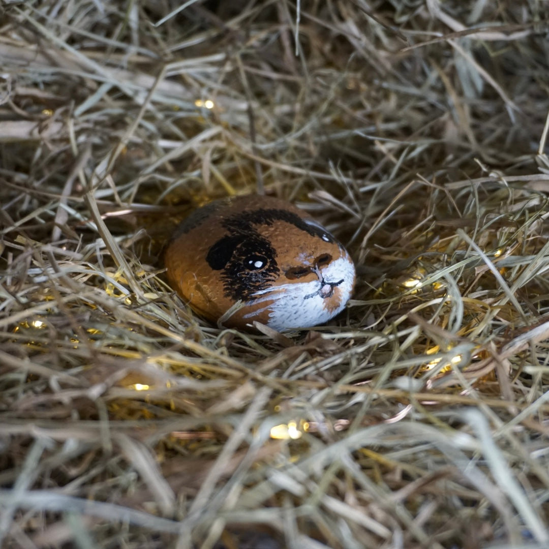 Milo